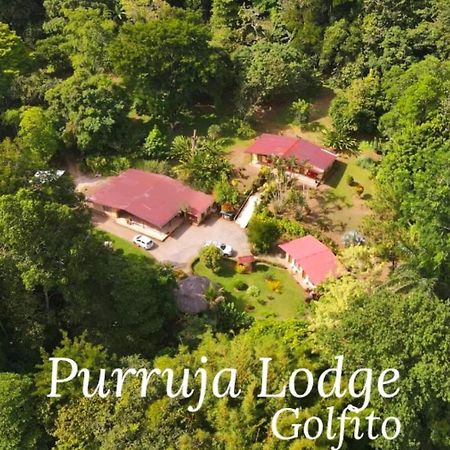 La Purruja Lodge Golfito Ngoại thất bức ảnh