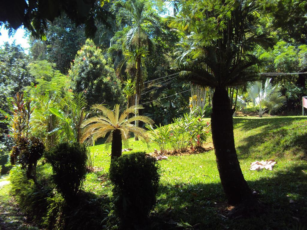 La Purruja Lodge Golfito Ngoại thất bức ảnh