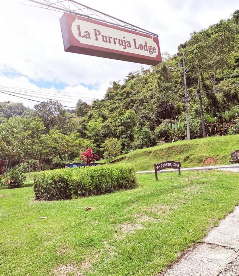 La Purruja Lodge Golfito Ngoại thất bức ảnh