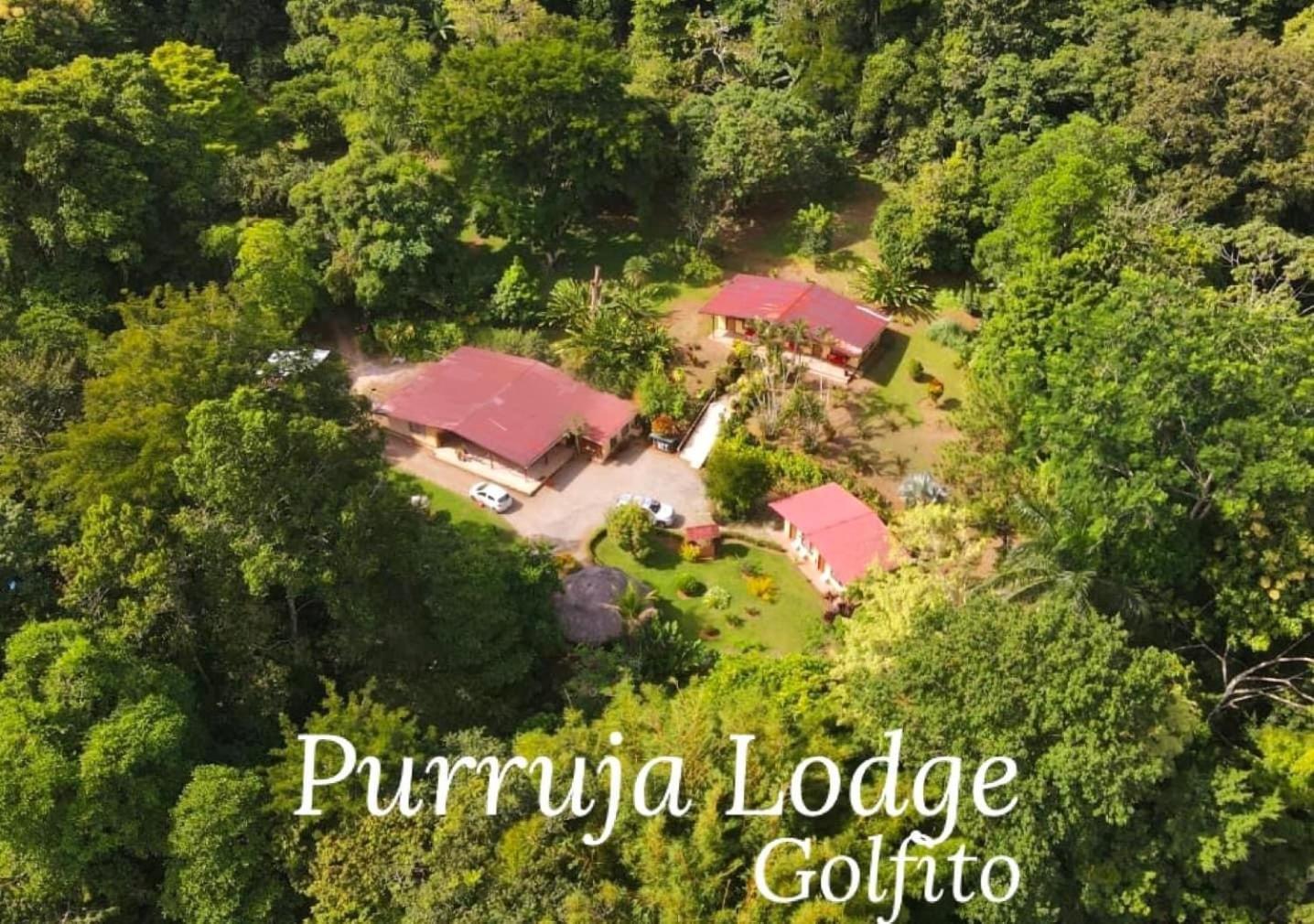La Purruja Lodge Golfito Ngoại thất bức ảnh