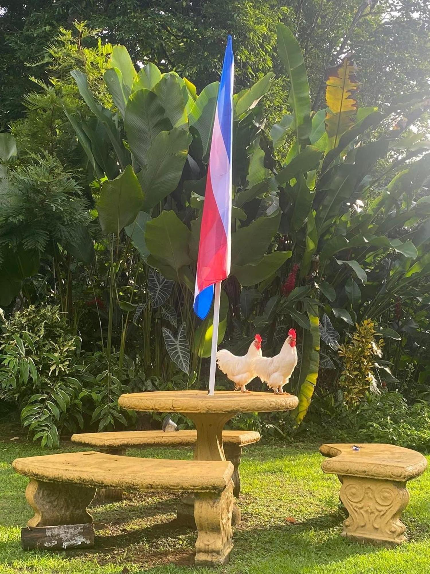 La Purruja Lodge Golfito Ngoại thất bức ảnh
