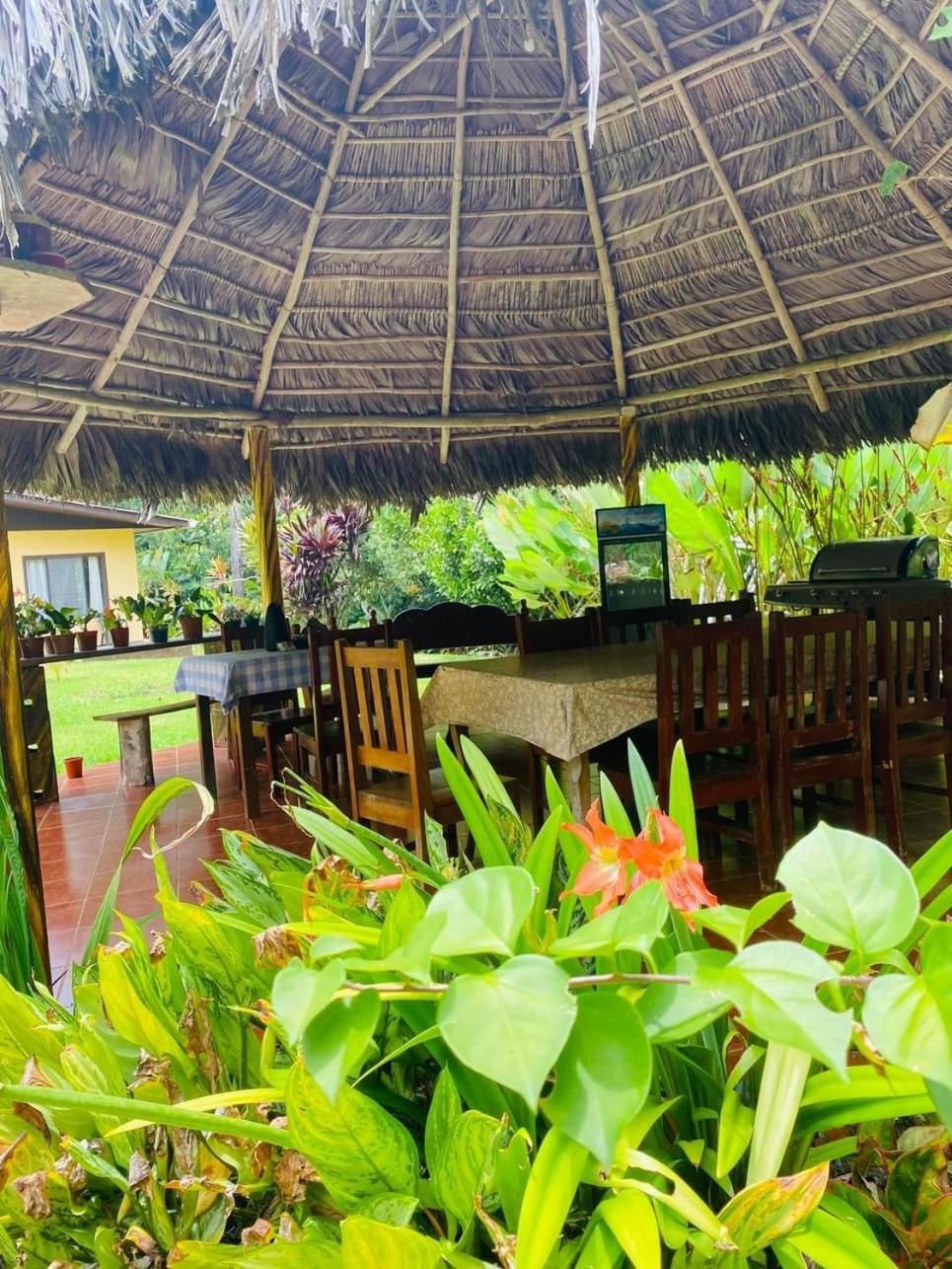 La Purruja Lodge Golfito Ngoại thất bức ảnh
