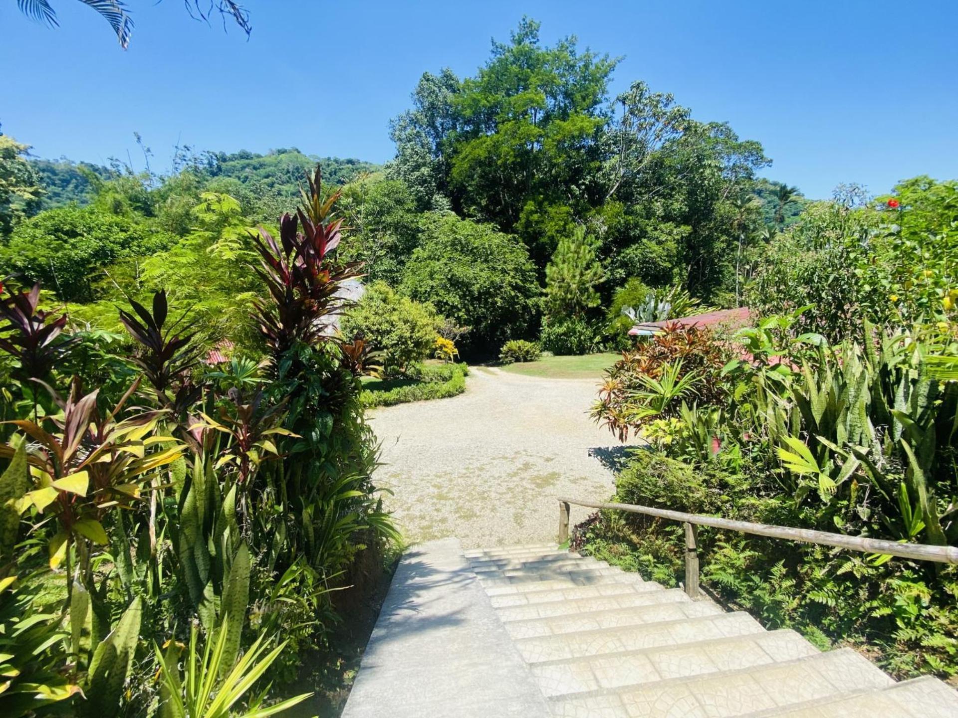 La Purruja Lodge Golfito Ngoại thất bức ảnh